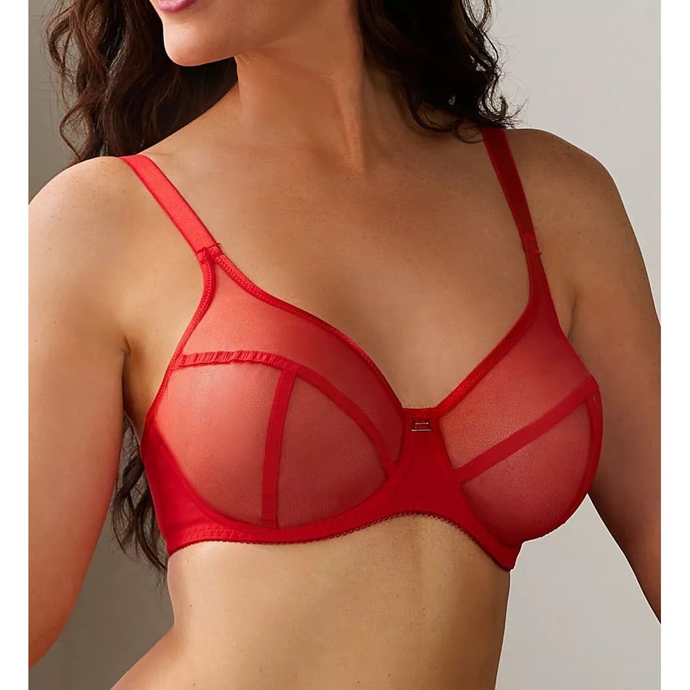 NEW Freya Snapshot High Apex Plunge Bra 34DD Red Sheer Mesh Underwire Lingerie